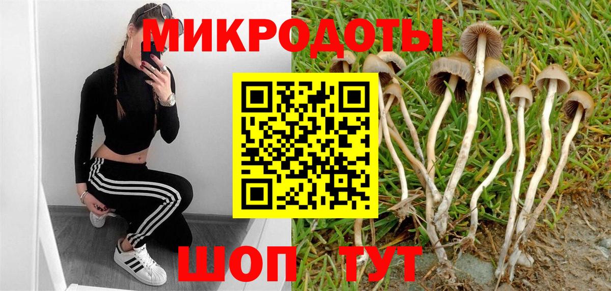 Псилоцибиновые грибы мицелий Кыштым