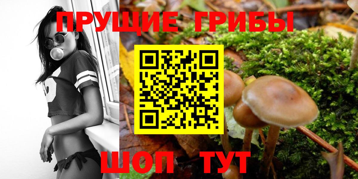 Псилоцибиновые грибы MAGIC MUSHROOMS  Вход с VPN  Кыштым 